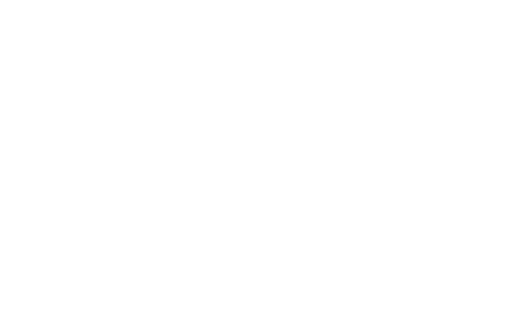 lymph netz mitteldeutschland weiß